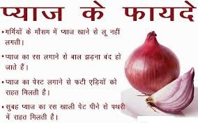 Onion